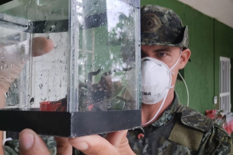 Divulgação/PM Ambiental