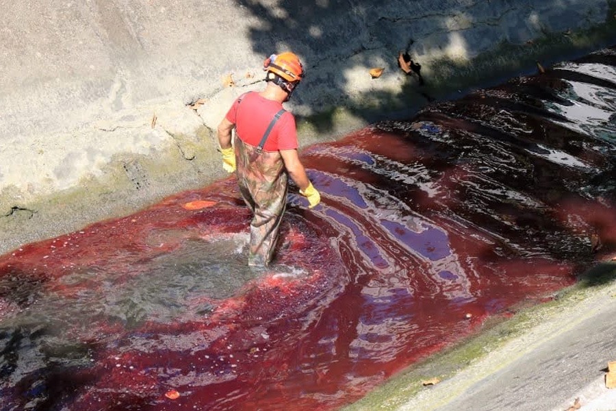 Divulgação/Prefeitura de Santos