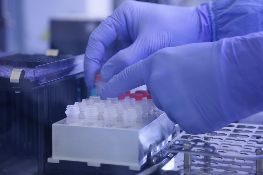 Fiocruz/Divulgação