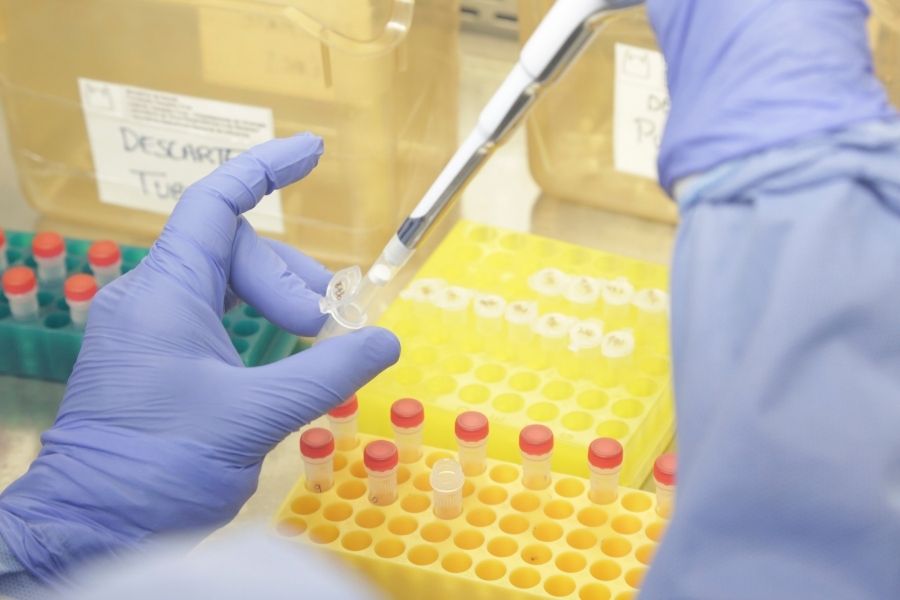 Fiocruz/Divulgação