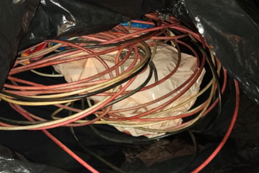 Divulgação/Prefeitura de Santos