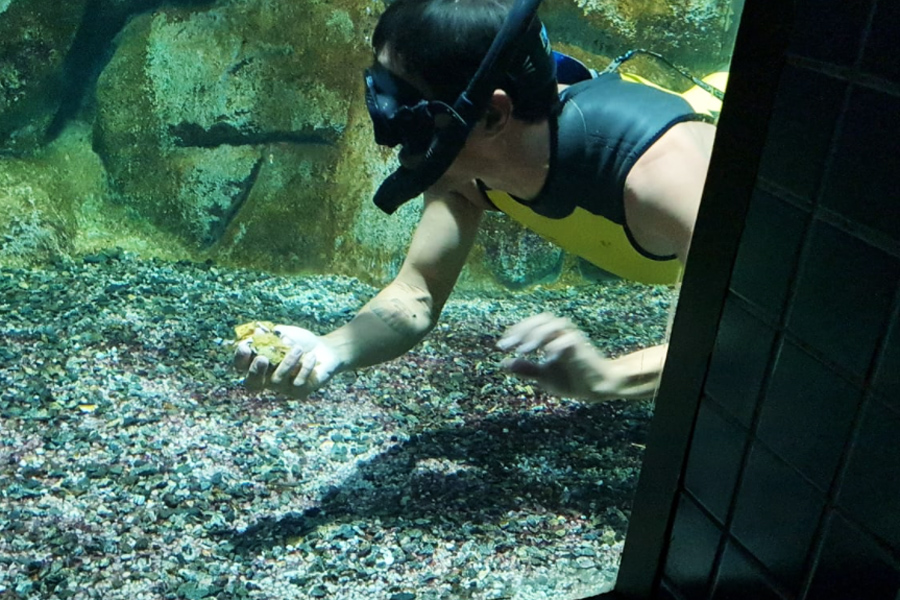 Patrícia Nunes/Santa Cecília TV