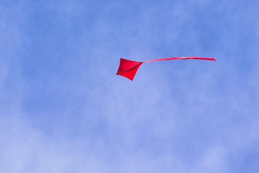 Imagem ilustrativa/Unsplash