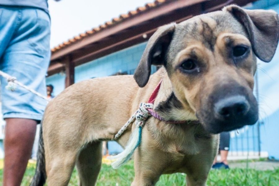 Divulgação/Prefeitura de Bertioga