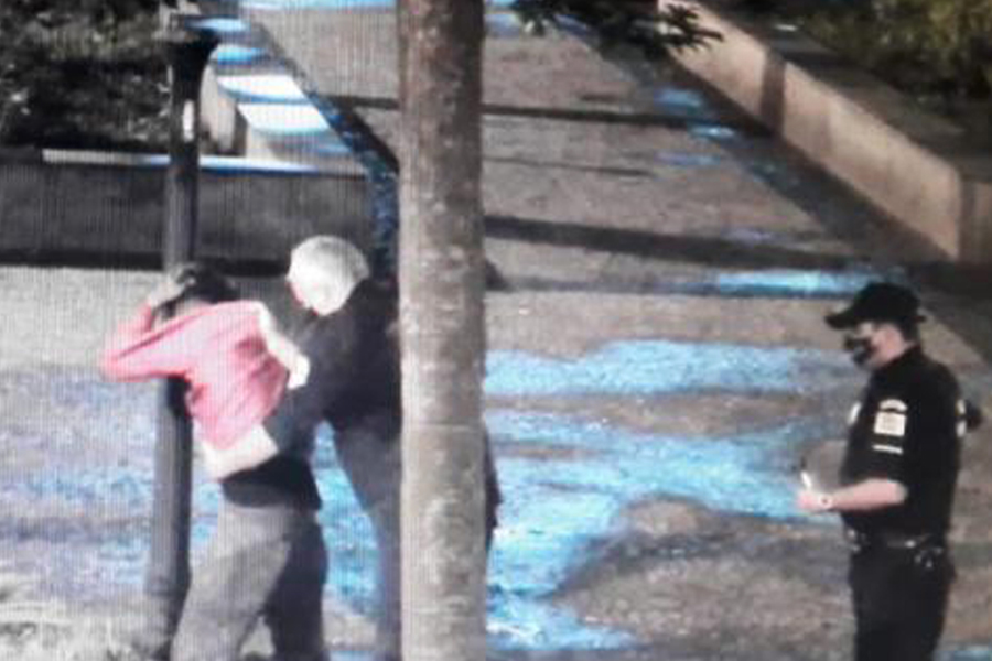 Divulgação/Prefeitura de Santos