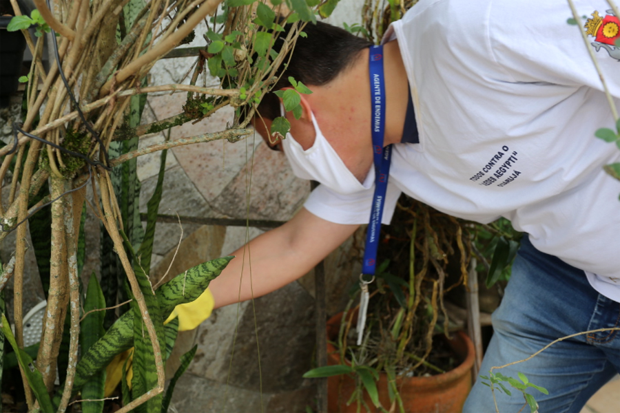 Surto de chikungunya mata indígenas e fecha escolas na maior reserva urbana no Brasil