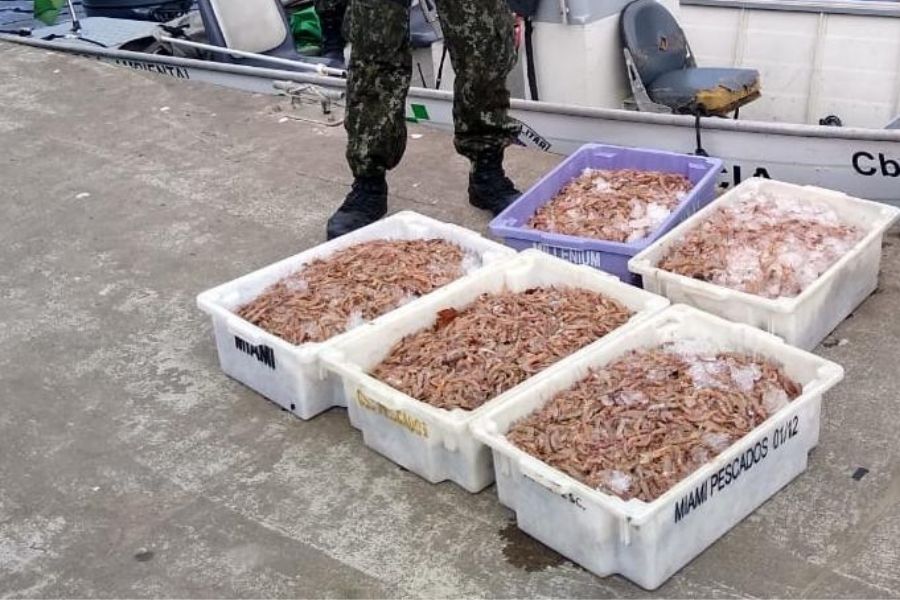 Polícia Marítima apreende 80 toneladas de camarão desde o início do ano