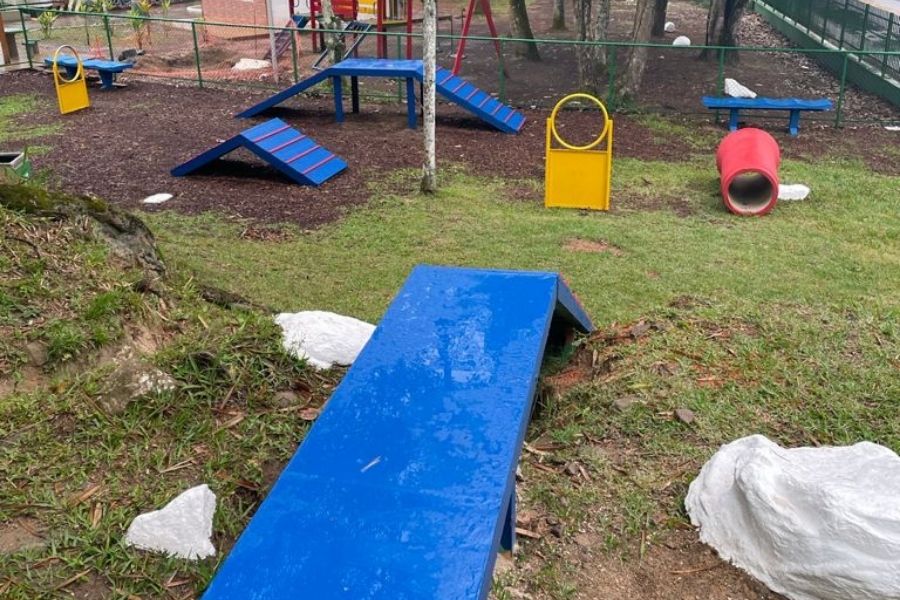 Divulgação/Prefeitura de Santos