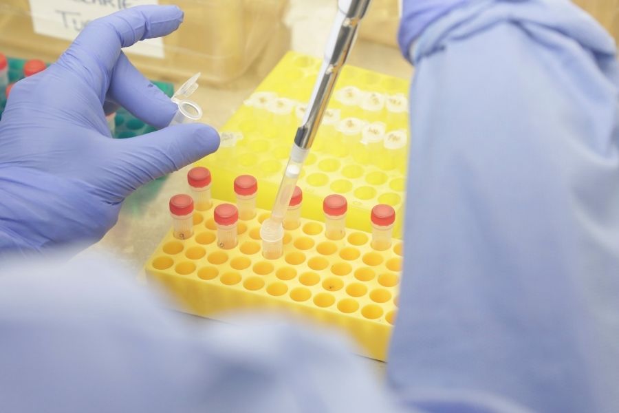 Fiocruz/Divulgação