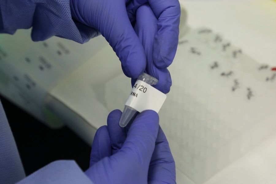 Fiocruz/Divulgação