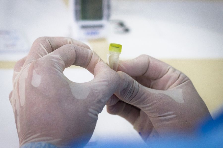 Fiocruz/Divulgação