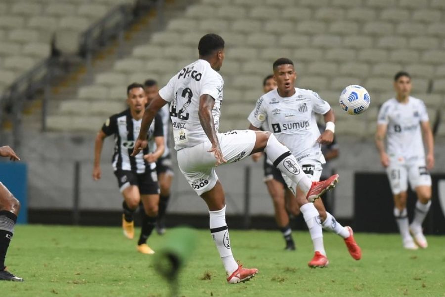 Foto: Ivan Storti/Santos FC