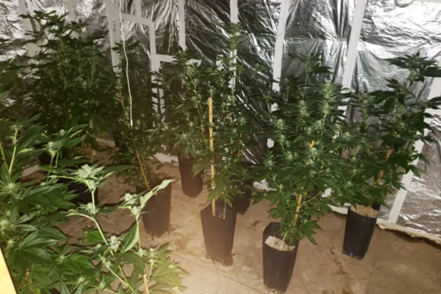 Divulgação/Polícia Militar