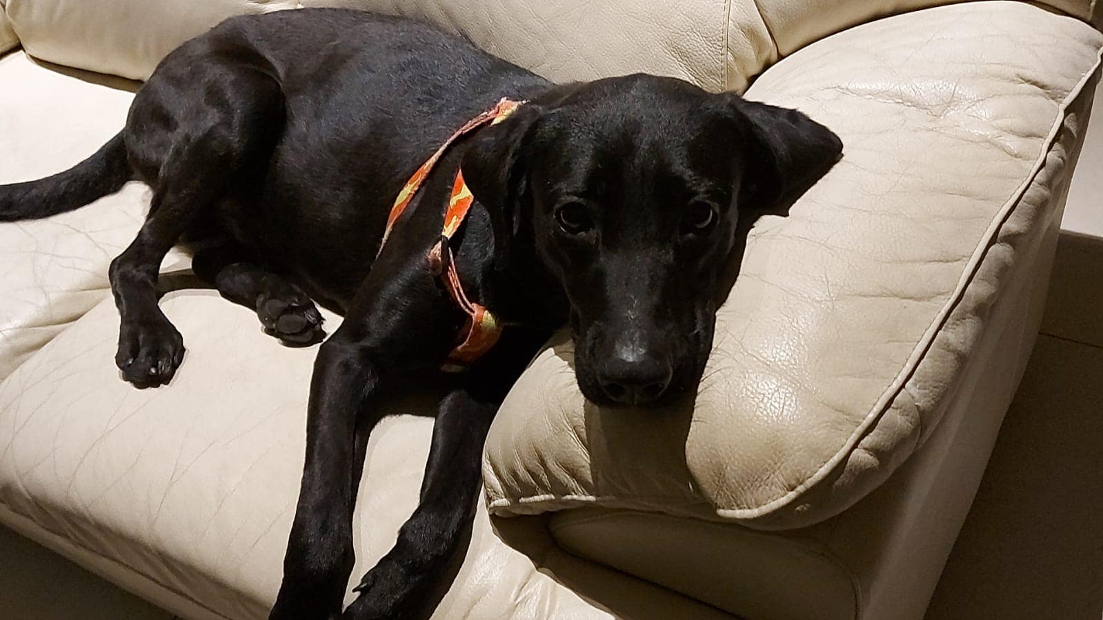 Reprodução/Facebook