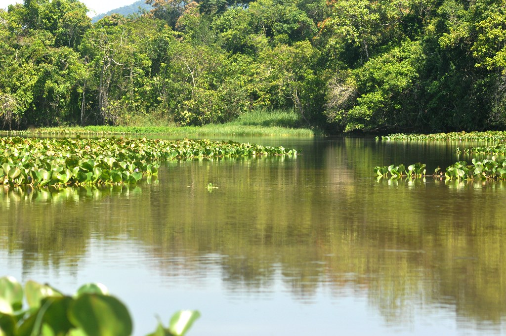 Prefeitura de Itanhaém