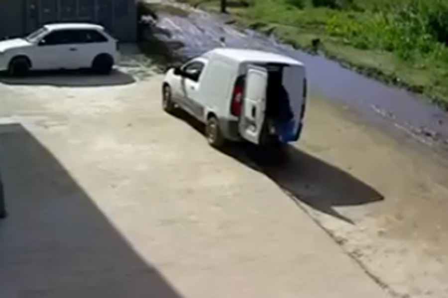 Reprodução