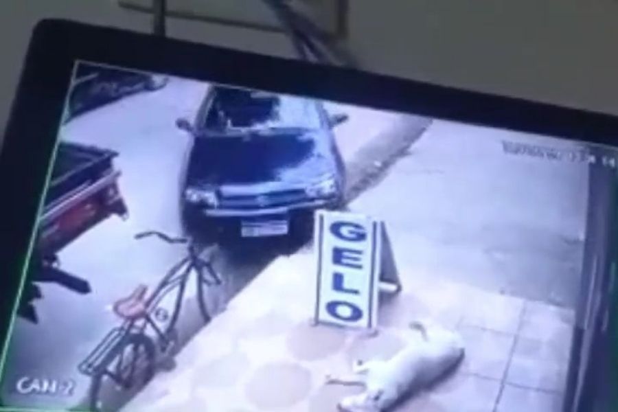 Foto: Aconteceu em Bertioga/Facebook