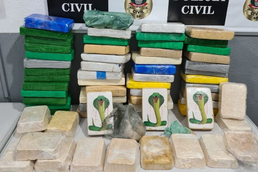 Divulgação/Polícia Civil