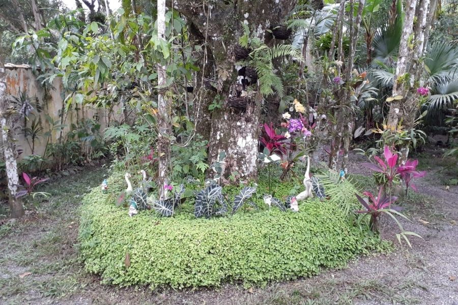 Moradores se assustam com cobra no jardim de casa em Peruíbe