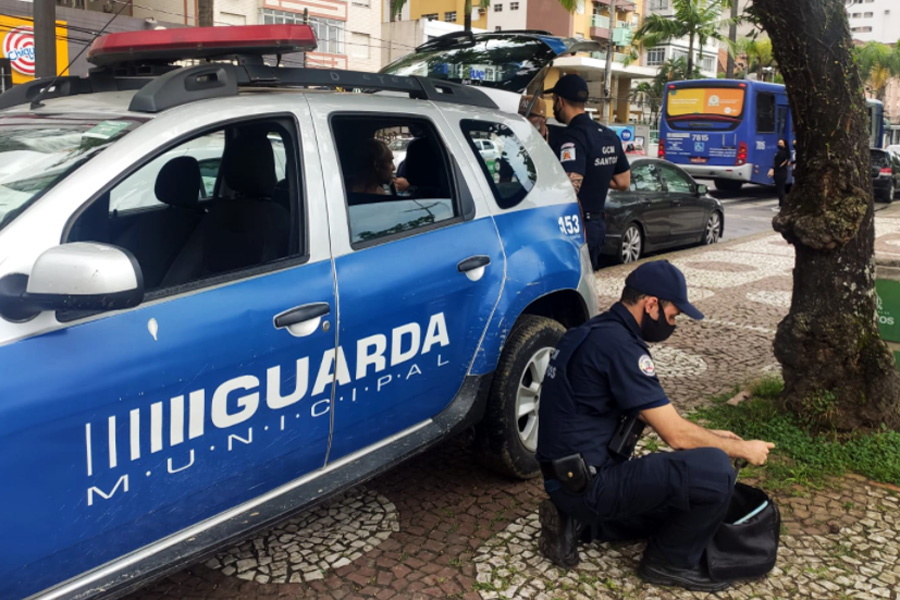 Andressa Lara/Santa Portal