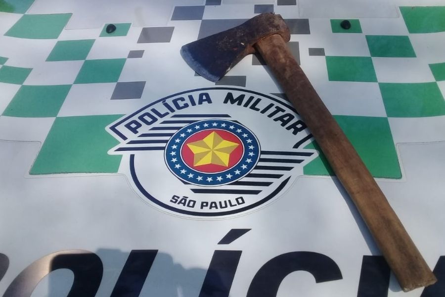 Machado apreendido desmatamento em São Vicente
