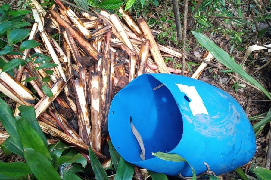Divulgação/PM Ambiental