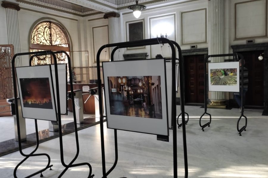 Divulgação/Prefeitura de Santos