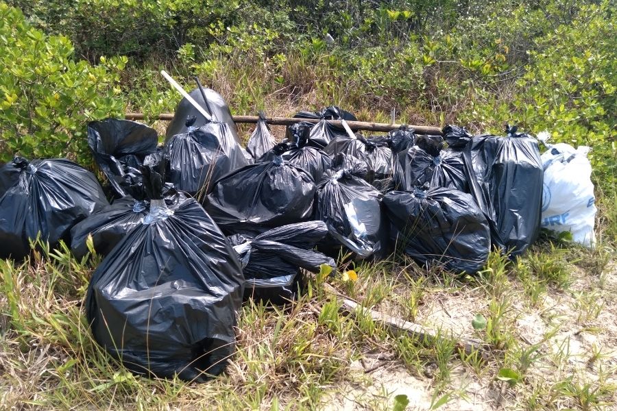 Escoteiros recolhem 400 kg de lixo do Parque Estadual do Itinguçu