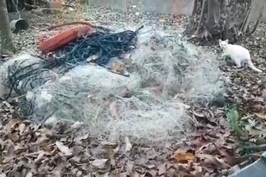 Divulgação/PM Ambiental Marítima