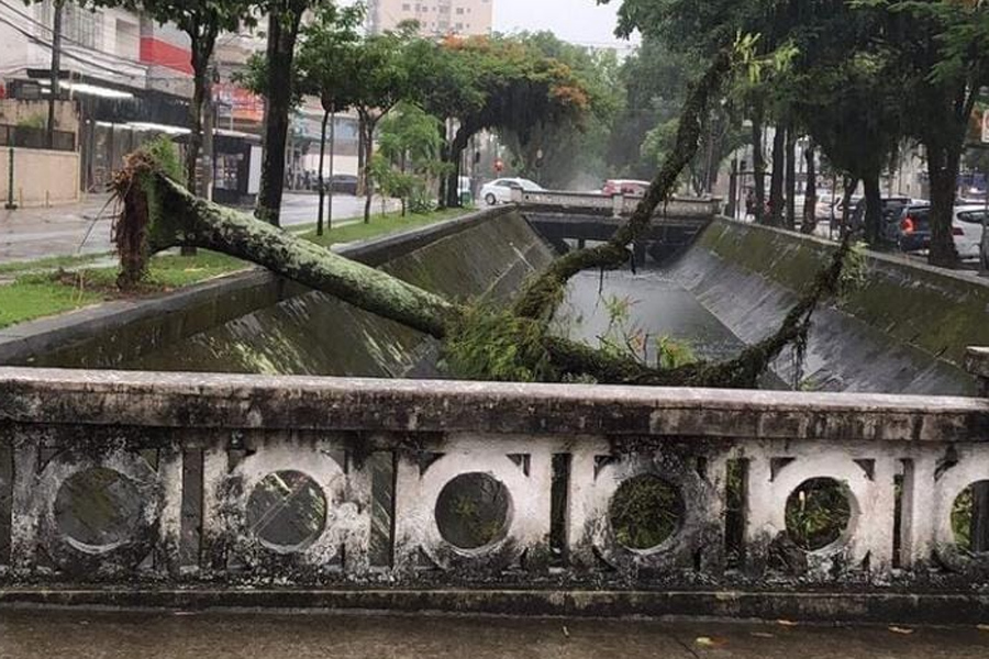 Reprodução/Viver em Santos e Região