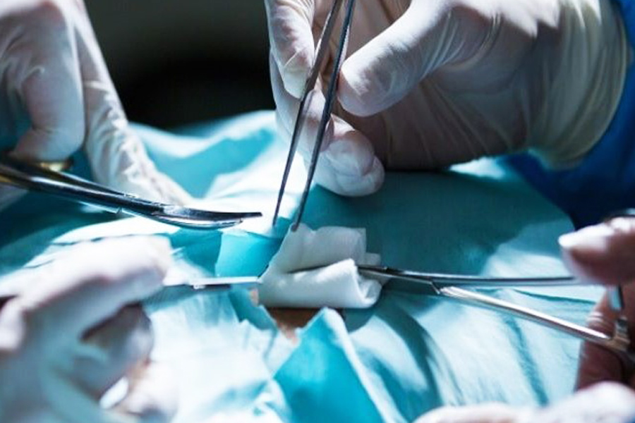 Reprodução/Vade News