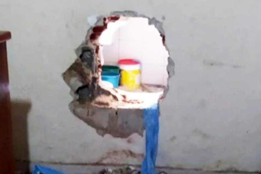 Reprodução/Viver em Santos e Região