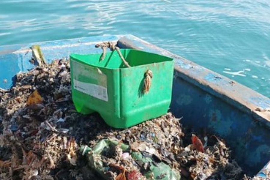 Mais de 20 toneladas de lixo são retiradas do mar em três cidades da Baixada Santista