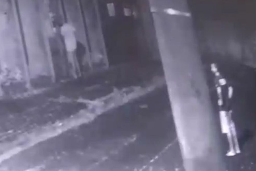 Vídeo: Reprodução