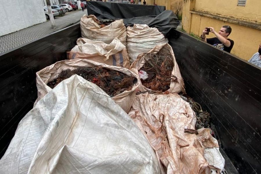 (Foto: Divulgação/Polícia Civil)