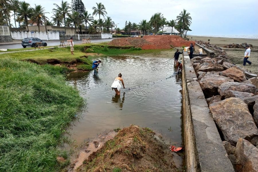 (Foto: Eduardo Monteiro Ribas/Instituto Biopesca)