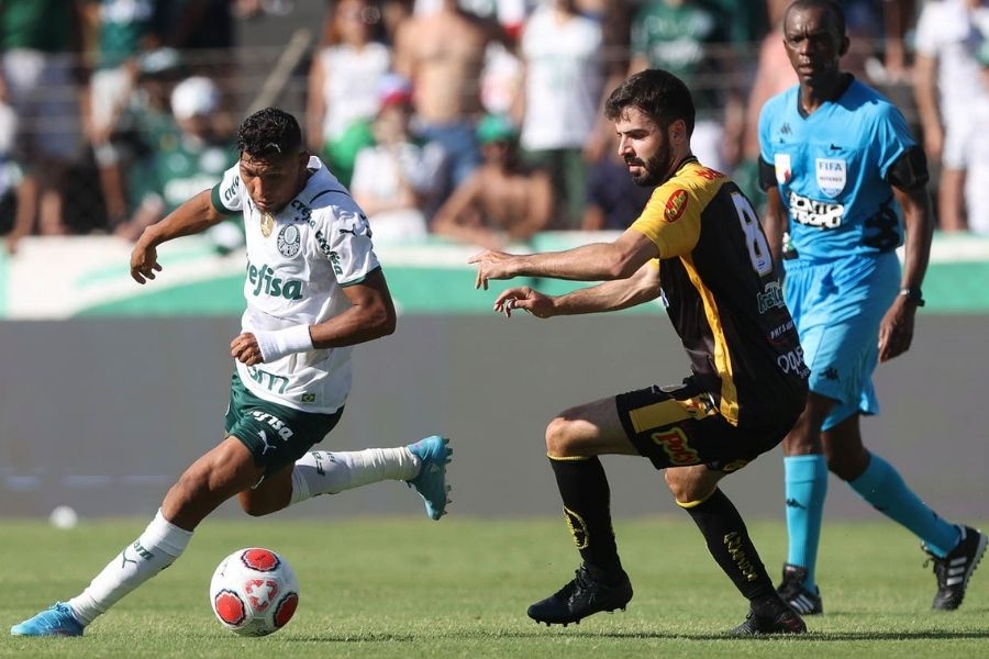 Cesar Greco / Palmeiras