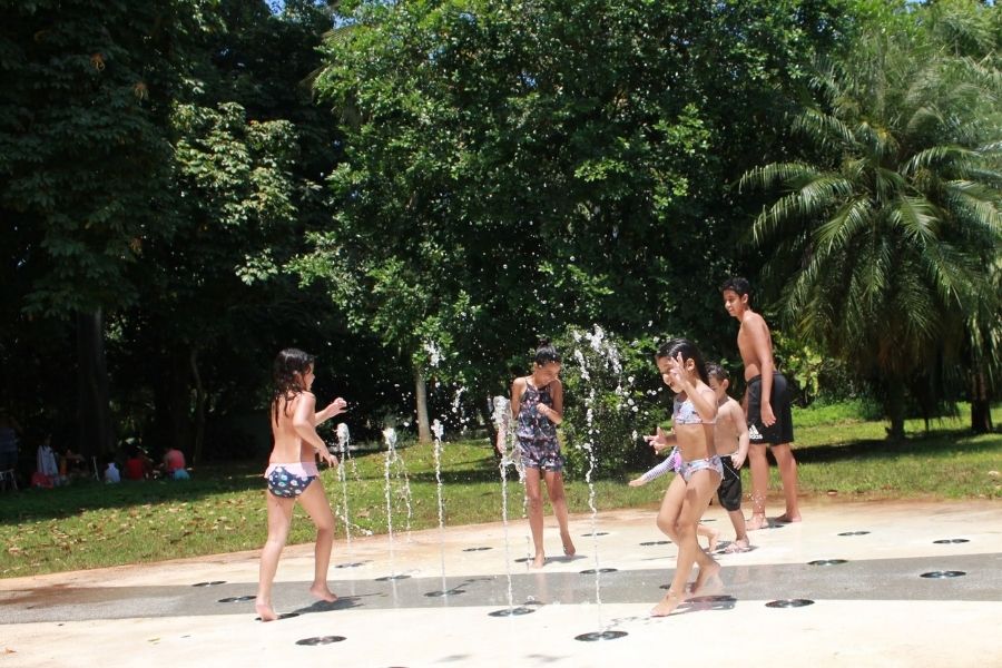 Jardim Botânico de Santos é opção de passeio durante as férias