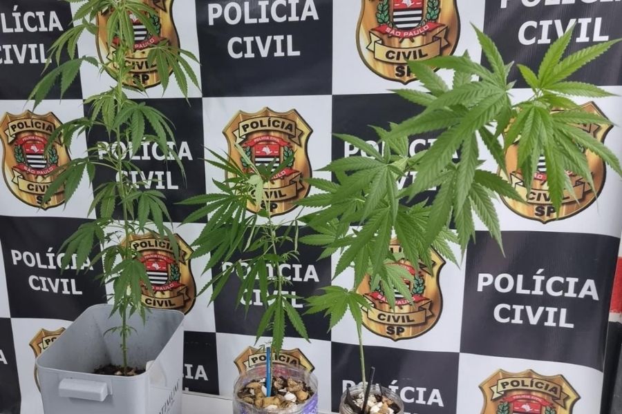 Divulgação/Polícia Civil