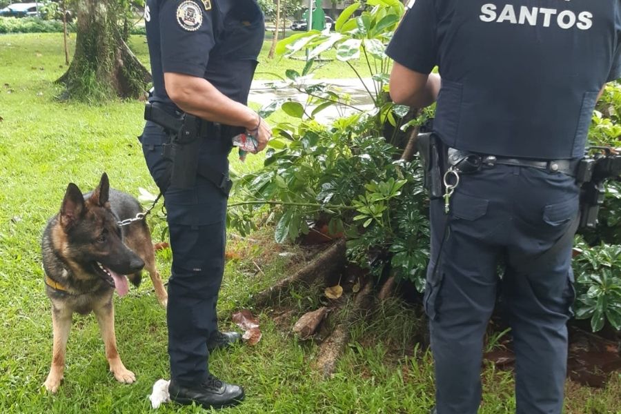 Guardas flagram menor de idade escondendo drogas em praça de Santos