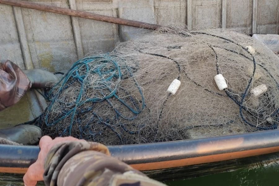 (Foto: Divulgação/Ciamar)