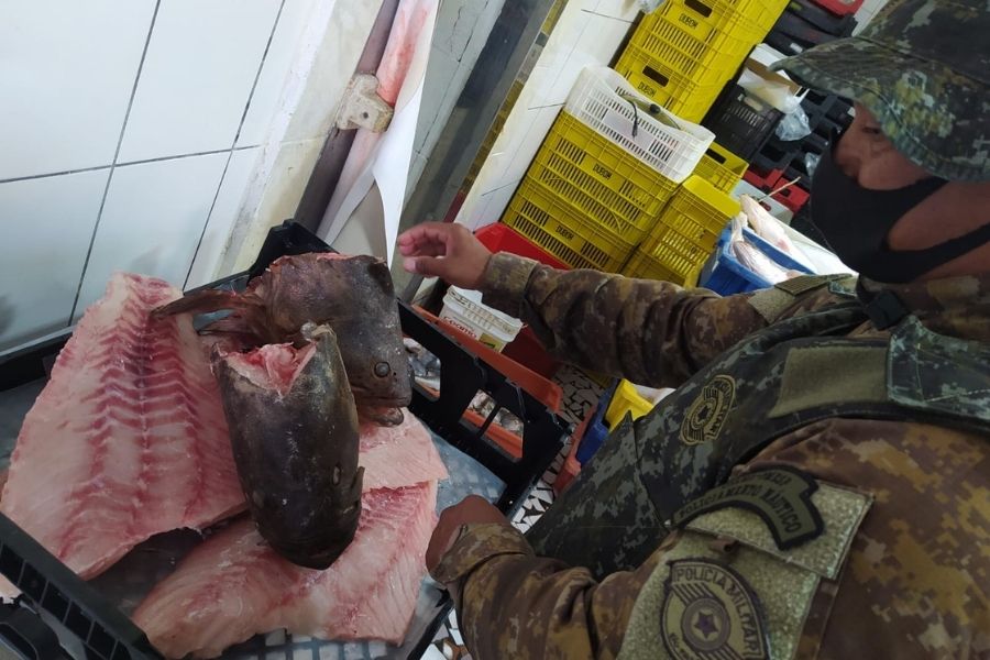 Divulgação/PM Ambiental