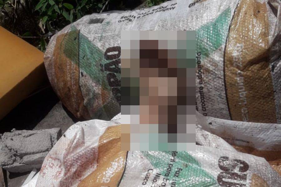 Praia Grande Mil Grau/Reprodução