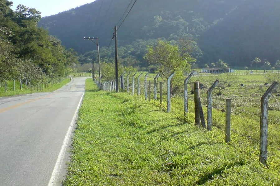 Reprodução/Vade News