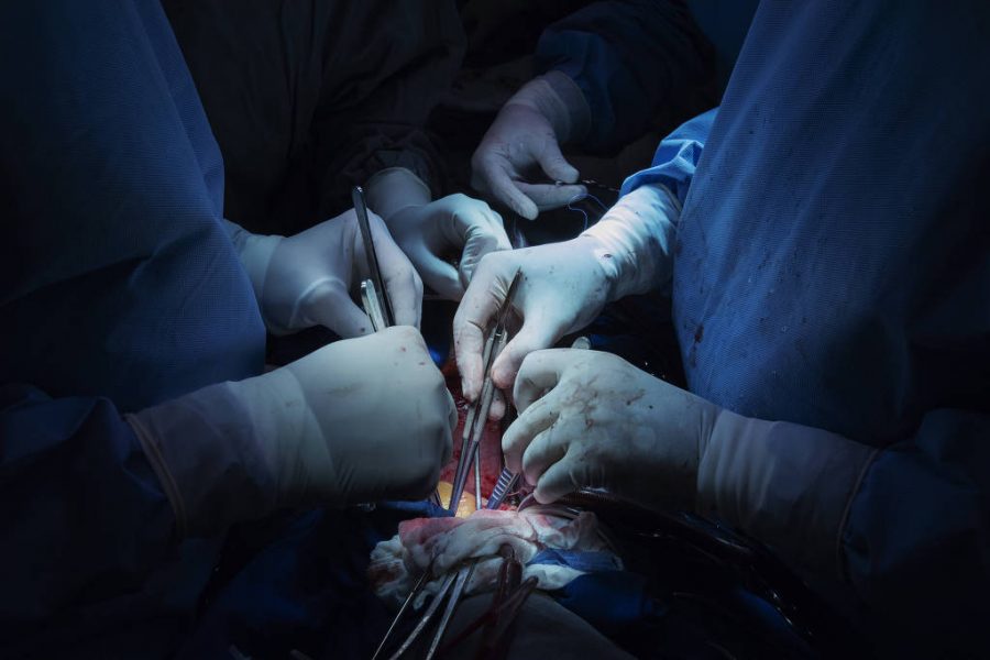 Número de transplantes de órgãos fica abaixo do esperado para o 1º trimestre de 2024