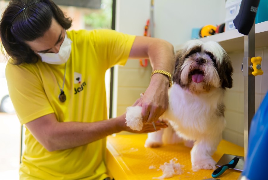 Nicollas de Oliveira/Divulgação Doggi 