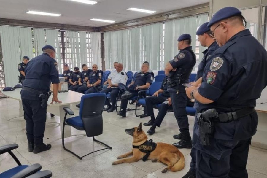 Divulgação/Prefeitura de Santos