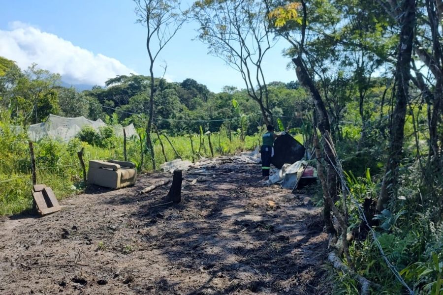 Homem é detido por desmatar área de preservação ambiental em Praia Grande