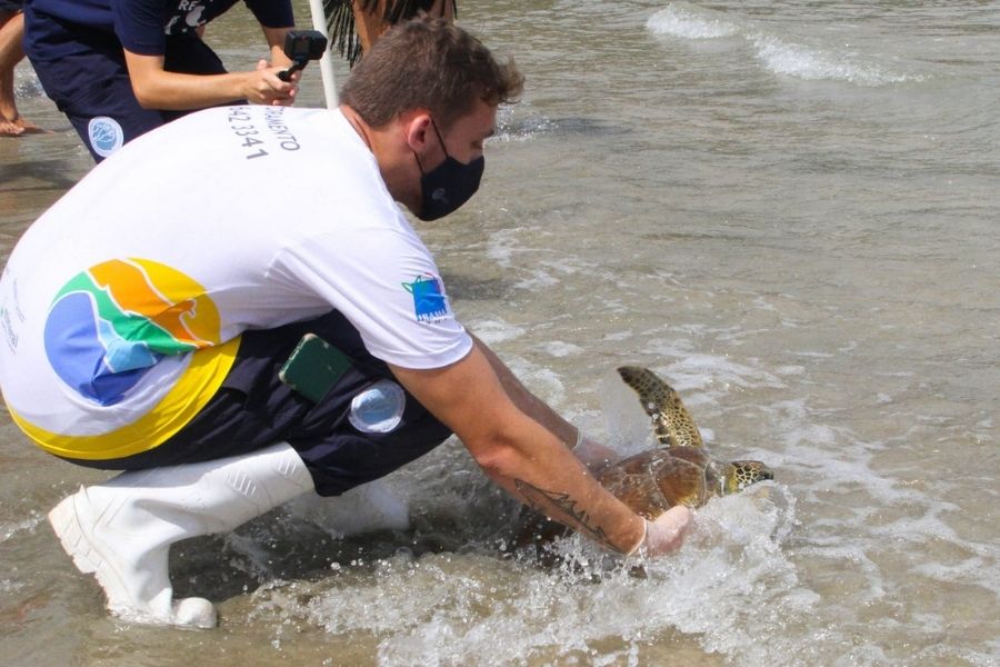 Divulgação/Instituto Gremar