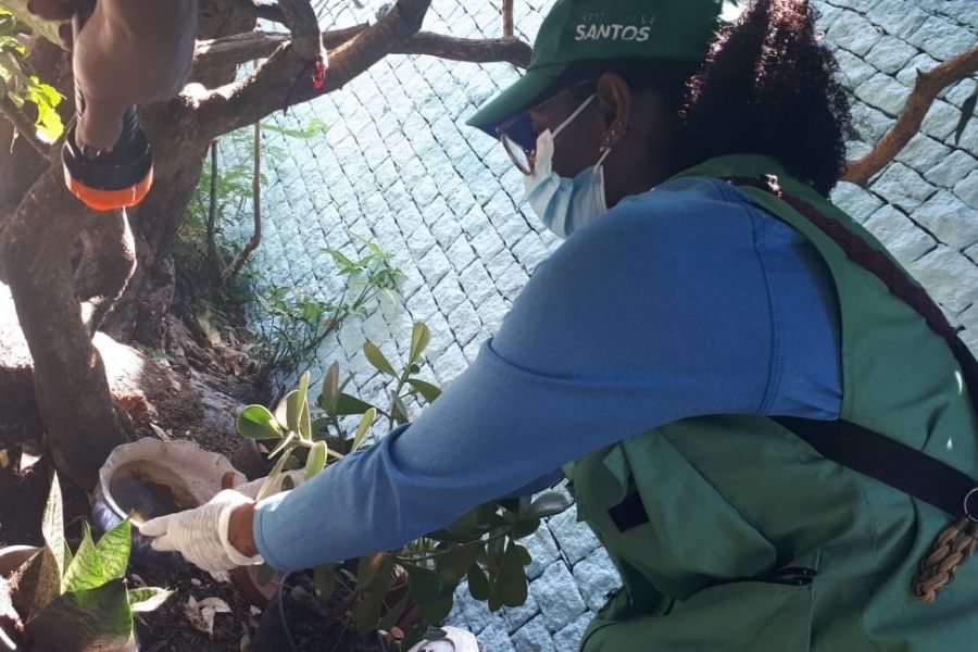 Divulgação/Prefeitura de Santos